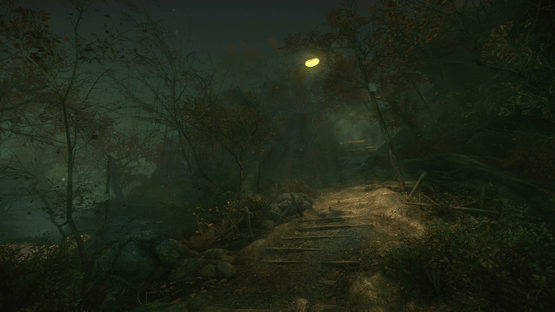 The Cursed Forest Screenshot