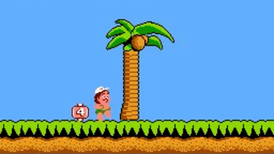 Hudson's Adventure Island Screenshot