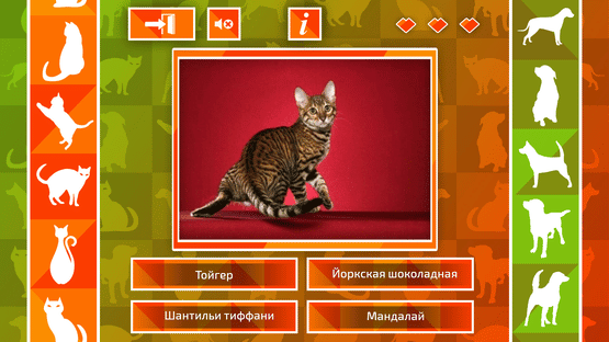 JQ: dogs & cats Screenshot