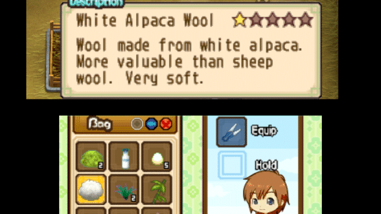 Harvest Moon: The Tale of Two Towns Screenshot