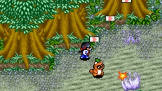 Pocky & Rocky 2 gameplay screenshot 2