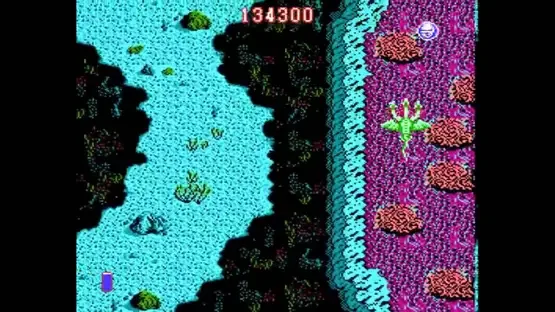 Dragon Spirit: The New Legend gameplay screenshot 1