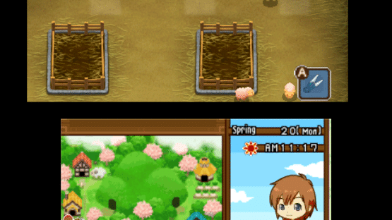 Harvest Moon: The Tale of Two Towns Screenshot