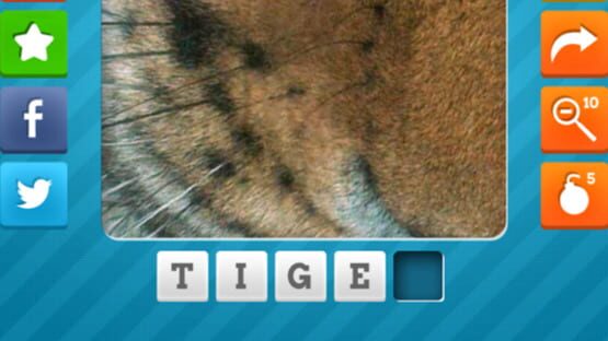Close Up Pics - Fun Word Games screenshot