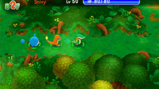 Pokémon Super Mystery Dungeon Screenshot