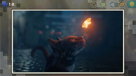 Pleasure Puzzle:Workshop cover