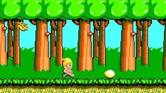 Wonder Boy Screenshot