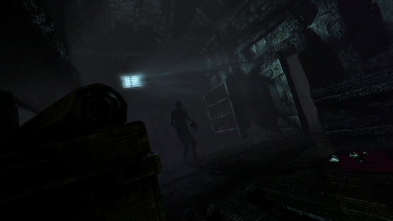 Amnesia: Collection Screenshot