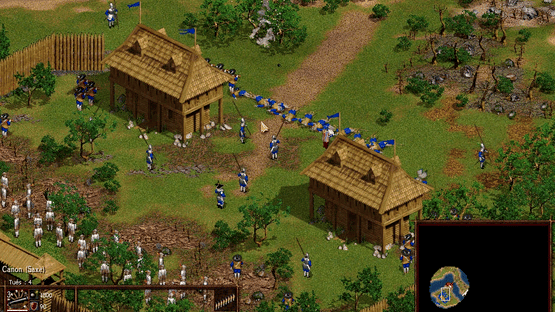 Cossacks: The Art of War Screenshot