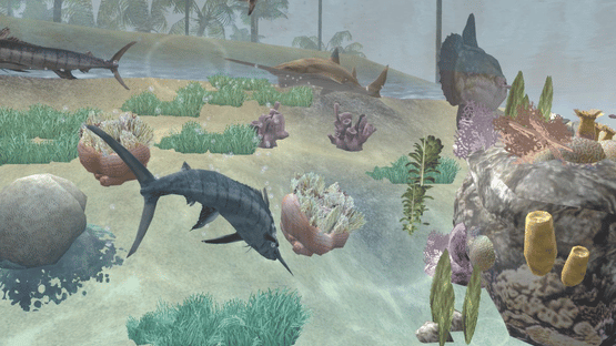 Wildlife Park 2: Marine World Screenshot