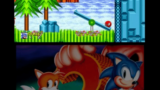 3D Sonic the Hedgehog 2 Screenshot