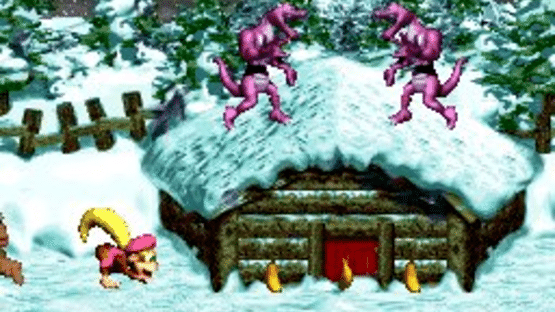 Donkey Kong Country 3: Dixie Kong's Double Trouble! Screenshot