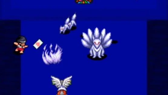 Pocky & Rocky 2 gameplay screenshot 5