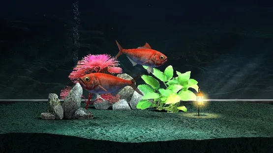 Screenshot 12