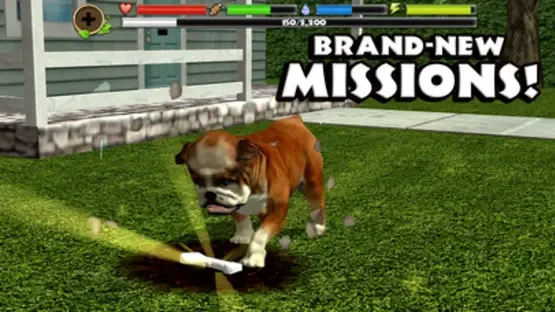 Thumbnail 8
