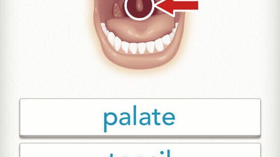 Quizzitive screenshot