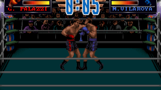 3D World Boxing Screenshot