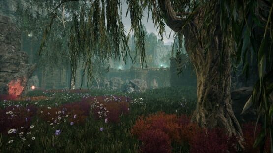 Nephise: Ascension cover