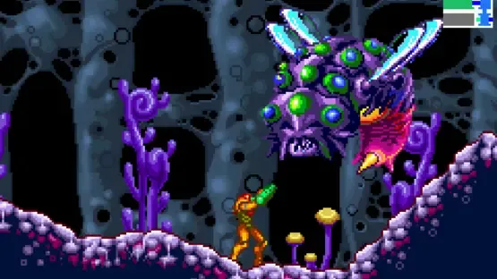 Thumbnail 12