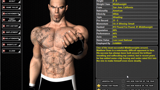 World of Mixed Martial Arts 3 Screenshot