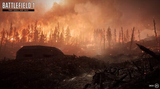 Képernyőkép erről: Battlefield 1: They Shall Not Pass