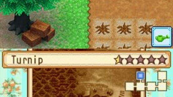 Képernyőkép erről: Harvest Moon DS: Grand Bazaar