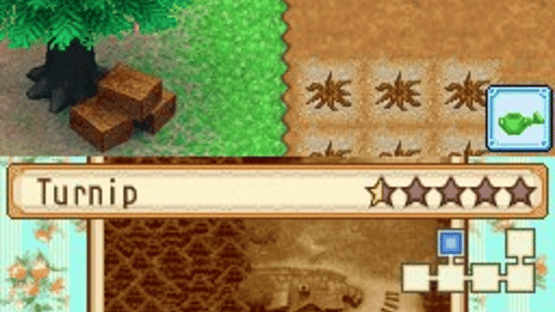 Harvest Moon DS: Grand Bazaar Screenshot