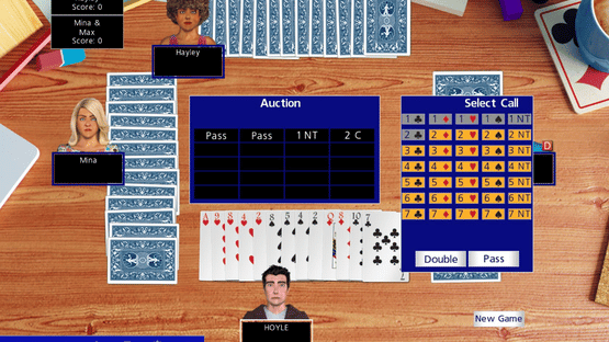 Hoyle Official Card Games Collection Screenshot