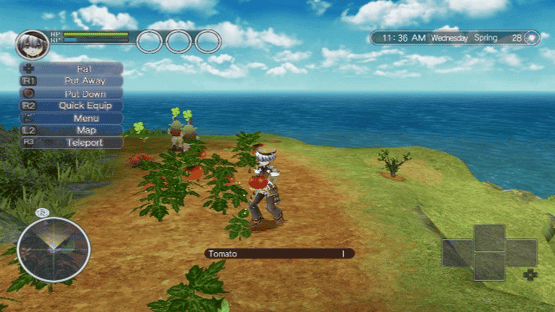 Rune Factory: Tides of Destiny Screenshot