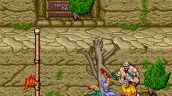 Ninja Gaiden Screenshot