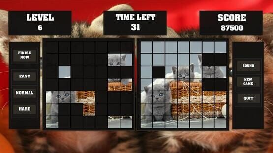 Fitzzle Cute Kittens cover