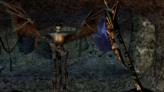 The Elder Scrolls III: Morrowind - Game of the Year Edition Screenshot