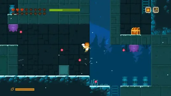Thumbnail 12