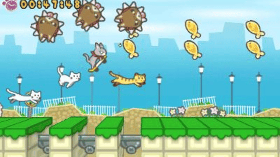 Skater Cat Screenshot