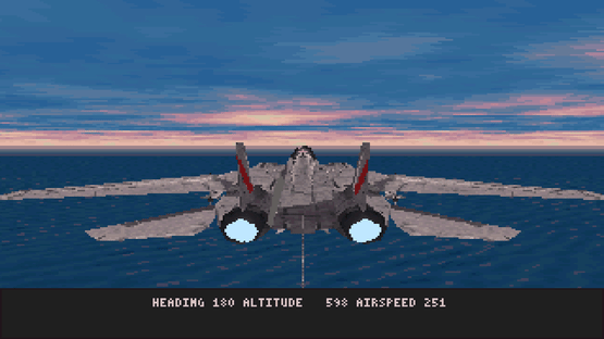 Fleet Defender: The F-14 Tomcat Simulation Screenshot