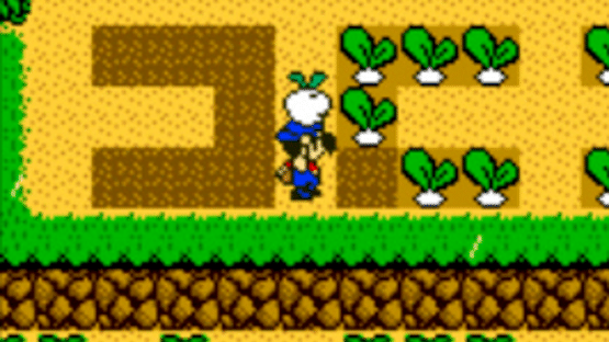 Harvest Moon 3 GBC Screenshot