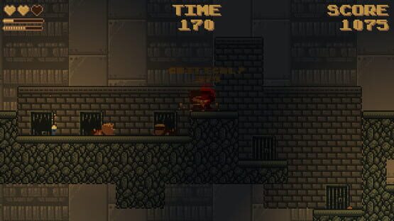 Freedom Fighter cover