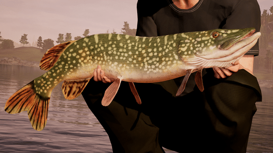 Fishing Sim World: Pro Tour Screenshot