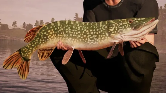 Fishing Sim World: Pro Tour screenshot 4