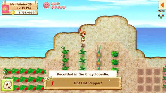 Harvest Moon: Light of Hope Screenshot