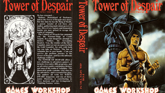 Tower of Despair Screenshot