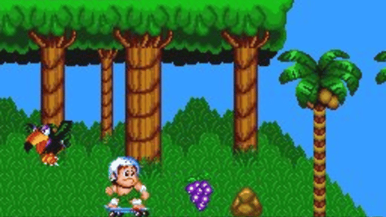 New Adventure Island Screenshot