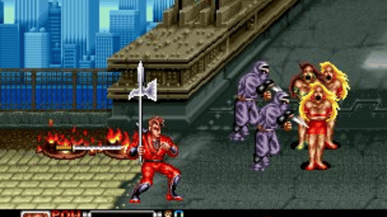Ninja Combat Screenshot