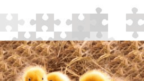 Puzzle to Go Baby Animals Screenshot