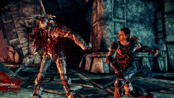 Dragon Age: Origins - Awakening Screenshot