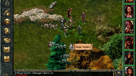 Baldur's Gate Screenshot