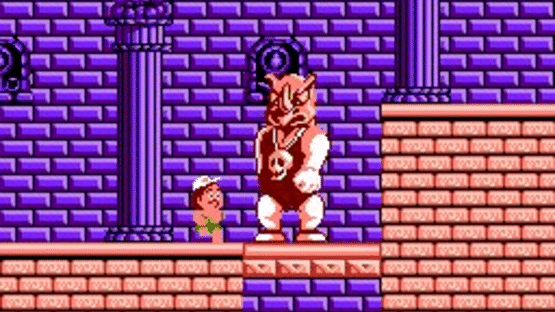 Hudson's Adventure Island Screenshot