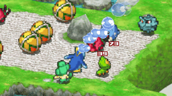 Pokémon Conquest Screenshot