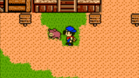 Harvest Moon 3 GBC Screenshot