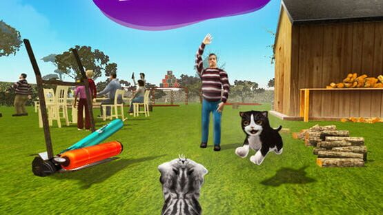 Cat Simulator 2015 screenshot